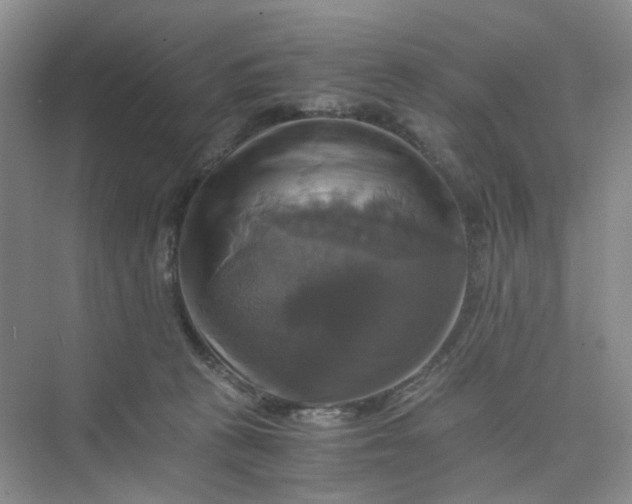 X0000075860273200609291555