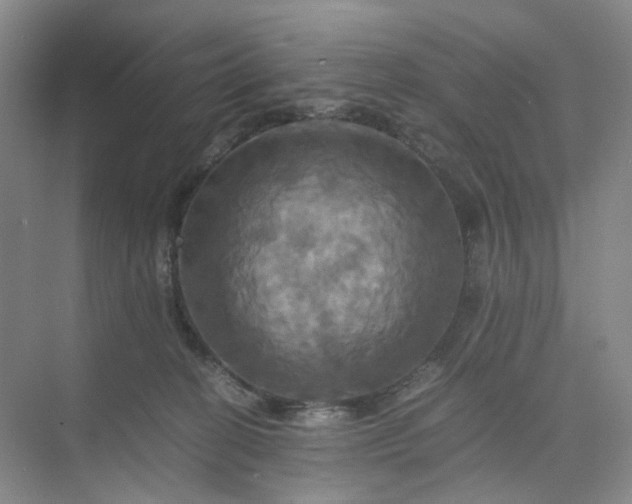 X0000075860274200609291556