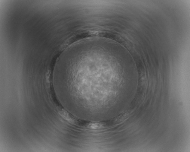 X0000075860275200609291556