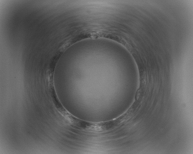 X0000075860276200609291556