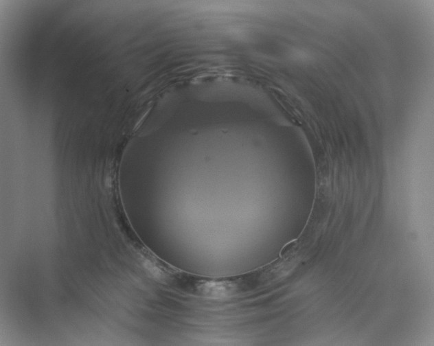 X0000075860277200609291556