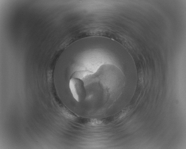 X0000075860278200609291556