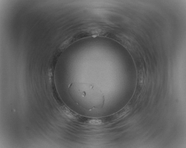 X0000075860279200609291556