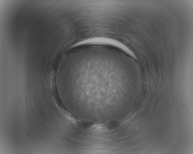 X0000075860280200609291556