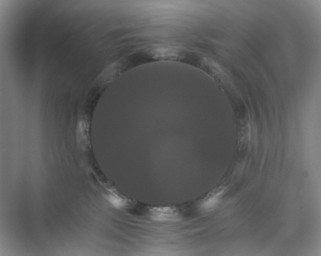 X0000075860281200609291556