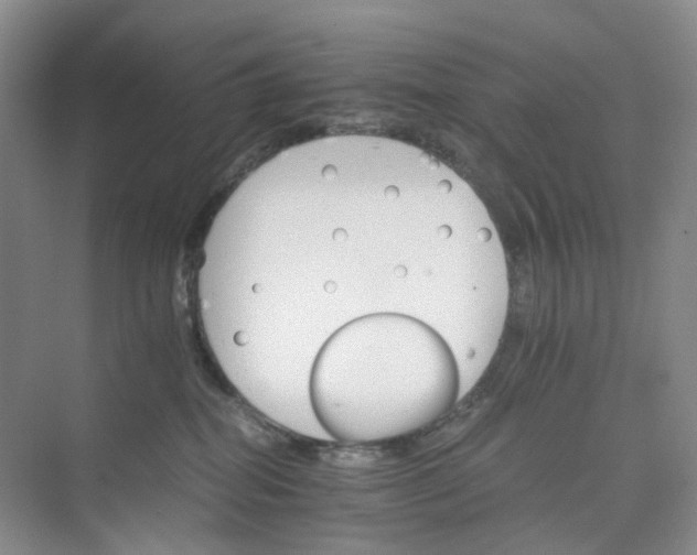 X0000075860282200609291556