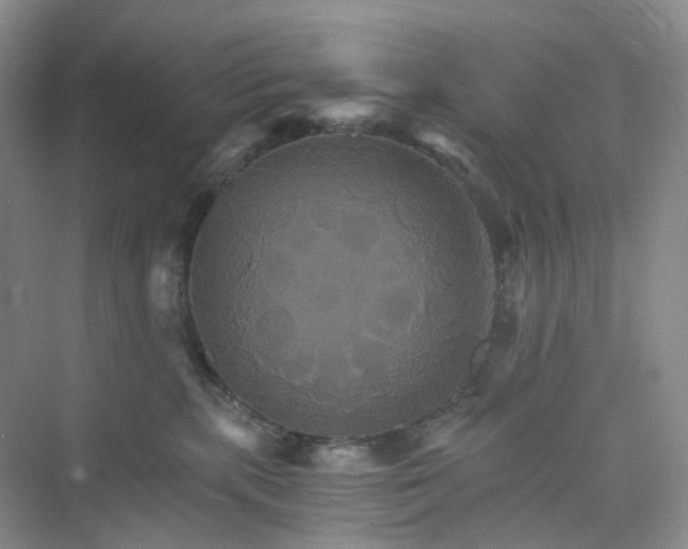 X0000075860283200609291556