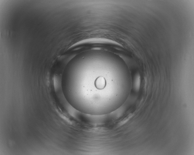 X0000075860284200609291556