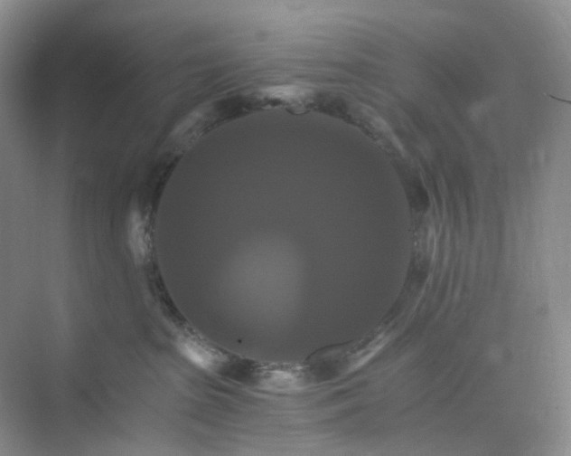 X0000075860285200609291556