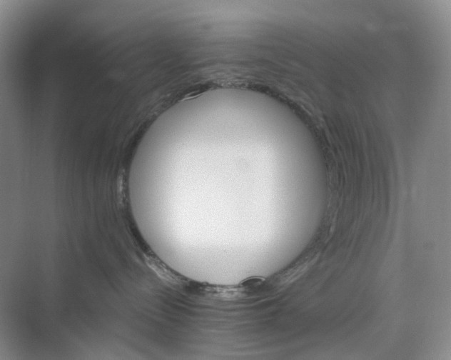 X0000075860288200609291556