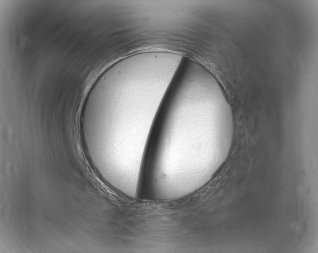 X0000075860289200609291555