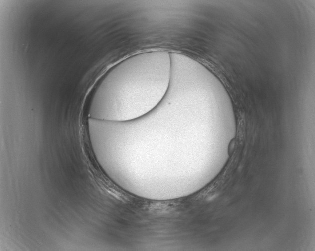 X0000075860290200609291555