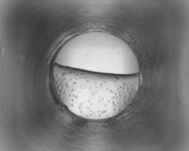 X0000075860291200609291555