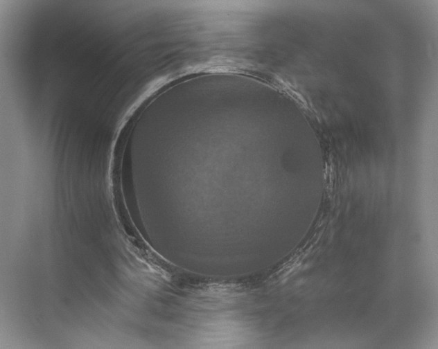 X0000075860292200609291555