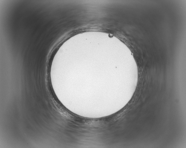 X0000075860293200609291555