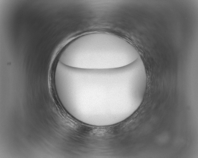 X0000075860294200609291555