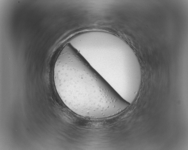 X0000075860295200609291555