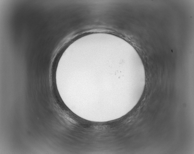 X0000075860296200609291555