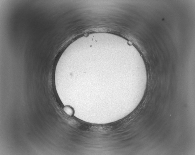 X0000075860297200609291555