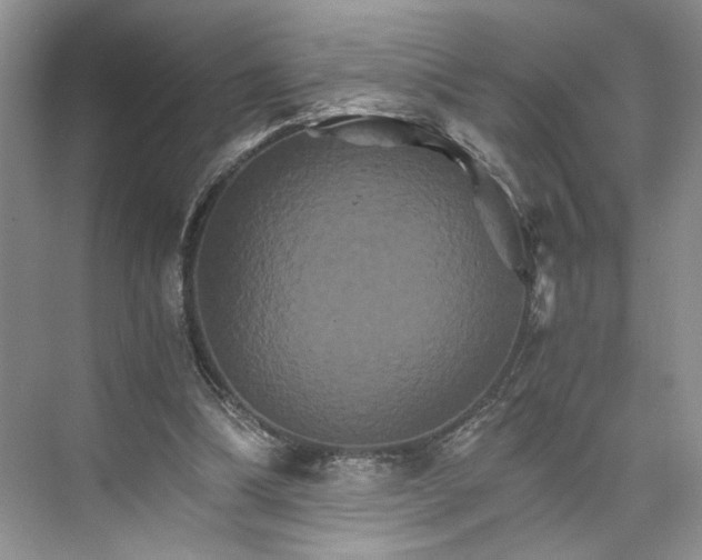 X0000075860298200609291555