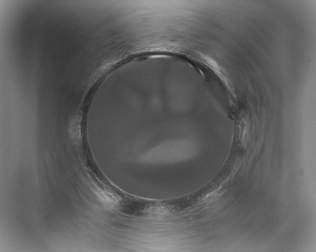 X0000075860299200609291555