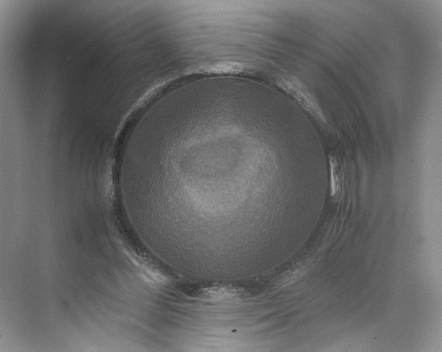 X0000075860300200609291555