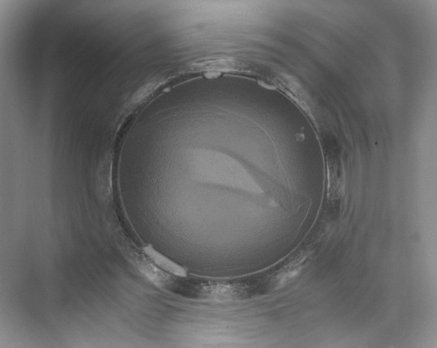 X0000075860301200609291555