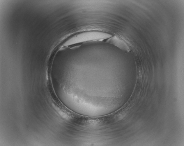 X0000075860302200609291555