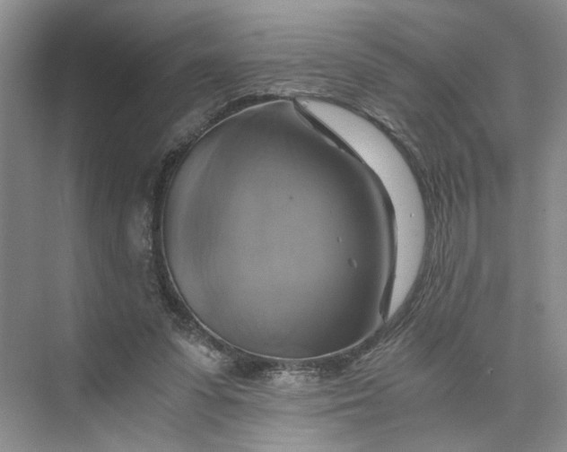 X0000075860303200609291555