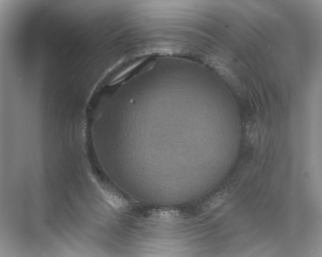 X0000075860304200609291555