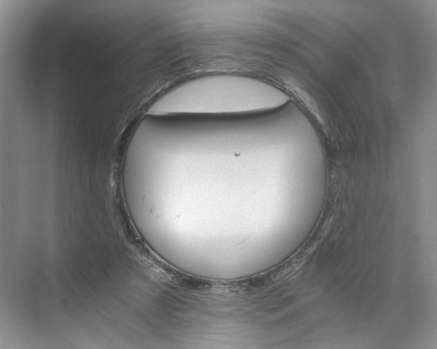 X0000075860305200609291555