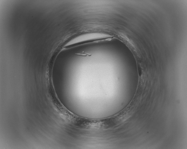 X0000075860306200609291555