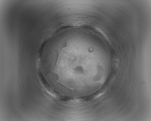 X0000075860307200609291555