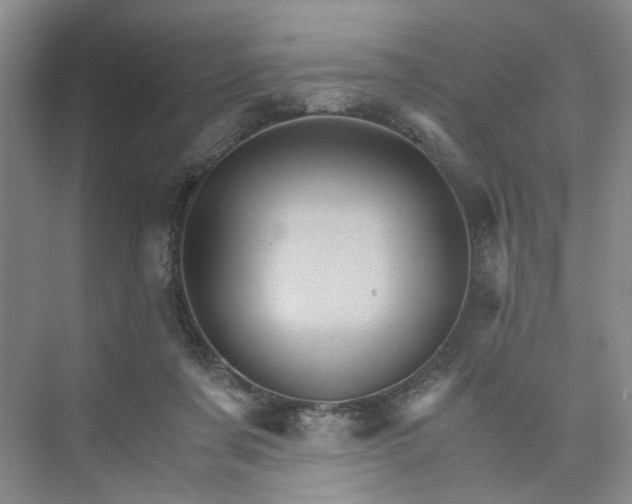 X0000075860311200609291555