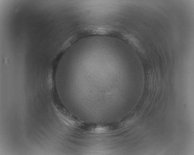 X0000075860312200609291555