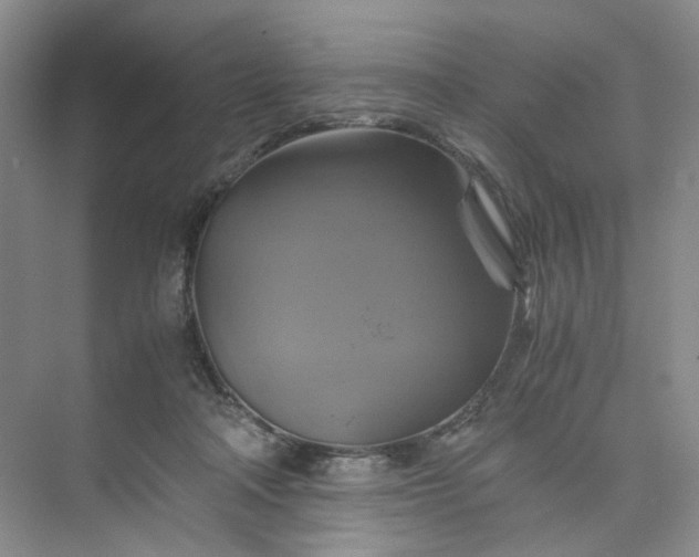 X0000075860314200609291555