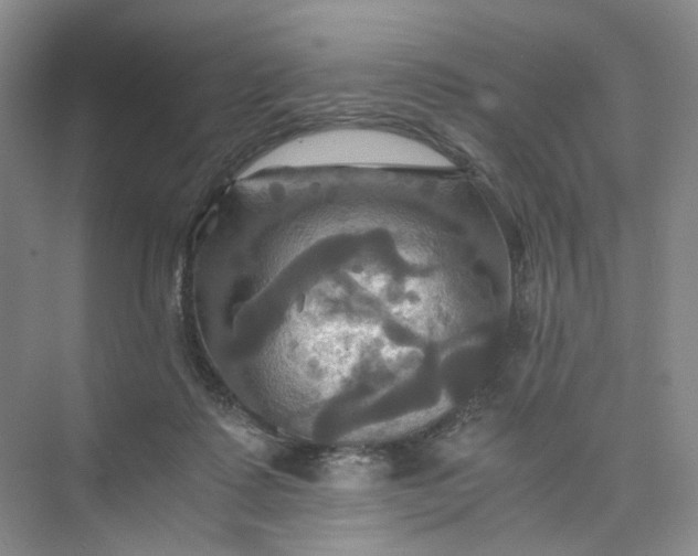 X0000075860315200609291554