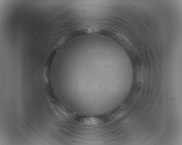 X0000075860316200609291554