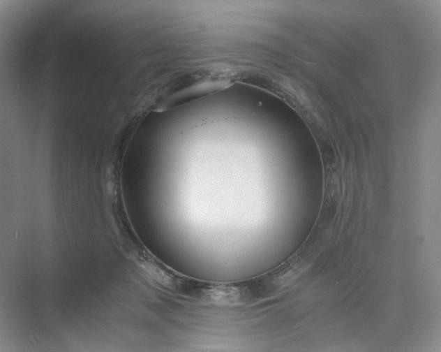 X0000075860317200609291554