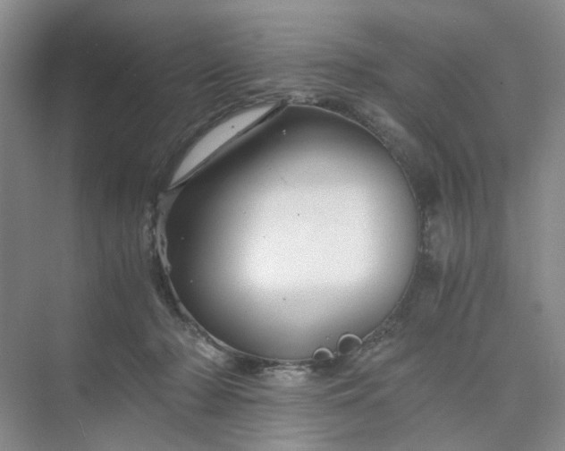 X0000075860318200609291554