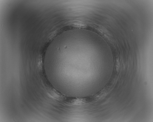 X0000075860320200609291554