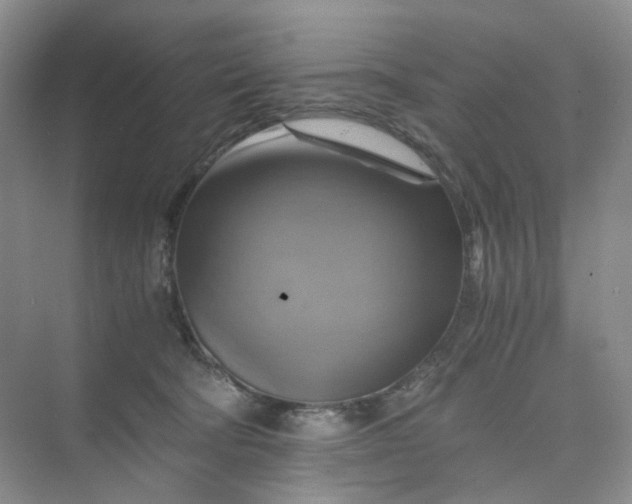 X0000075860322200609291554