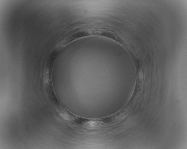 X0000075860323200609291554