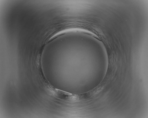 X0000075860325200609291554