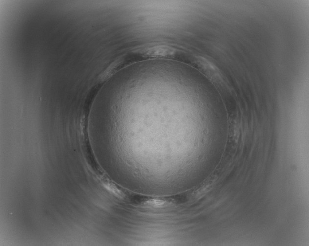 X0000075860326200609291554