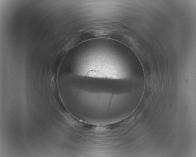 X0000075860327200609291554