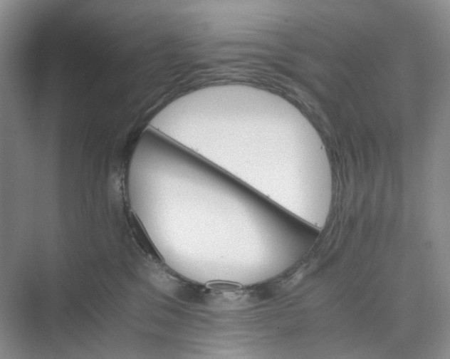 X0000075860329200609291554