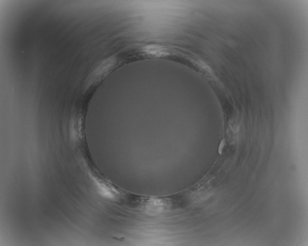 X0000075860330200609291554