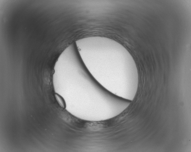 X0000075860331200609291554