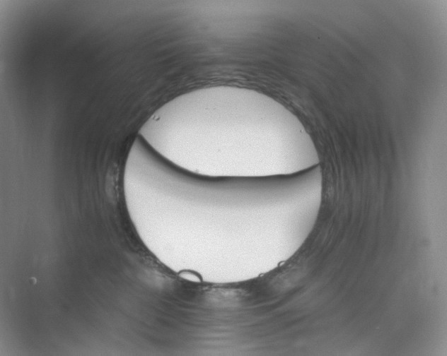 X0000075860332200609291554